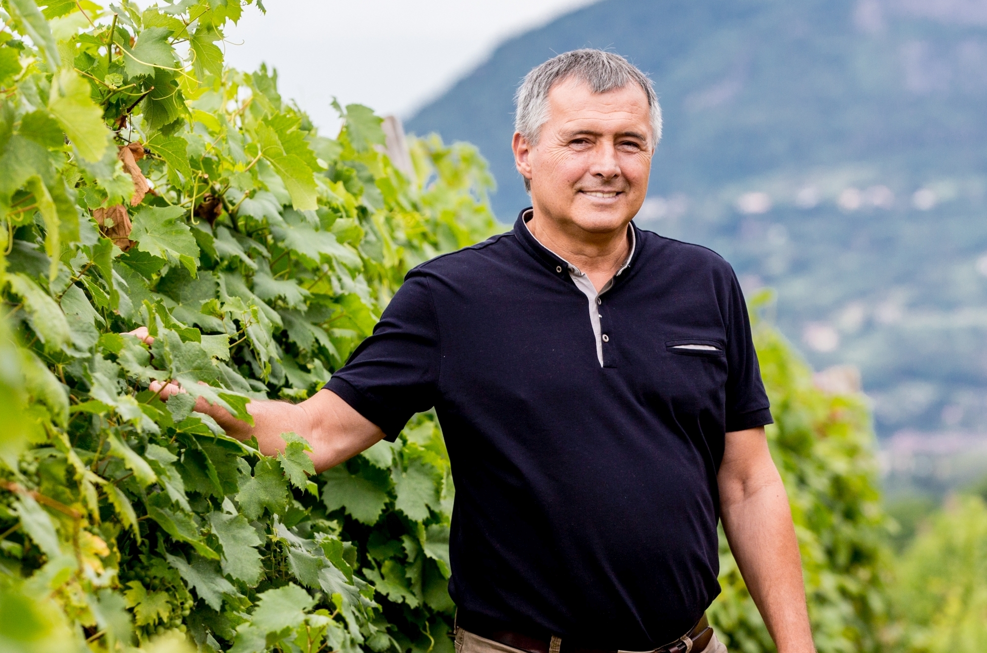 A világ legjobb bora 365 üzleti történet,Varga Péter, magyar bor